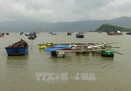 Khánh Hòa: Tỷ lệ hộ tái nghèo tăng mạnh sau bão số 12